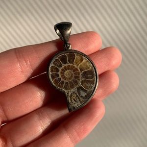 Ammonite Fossil Pendant